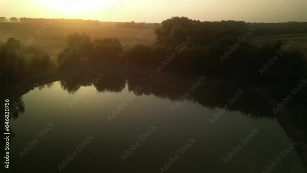 Swans on the lake at sunset. Sunset on the lake in the fields Swans on the lake at sunset. Sunset on the lake in the fields