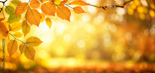 Autumn background  sunny park in fall season  linden trees losing red and yellow leaves  graphic banner  web background  facebook header  Generative A.I 