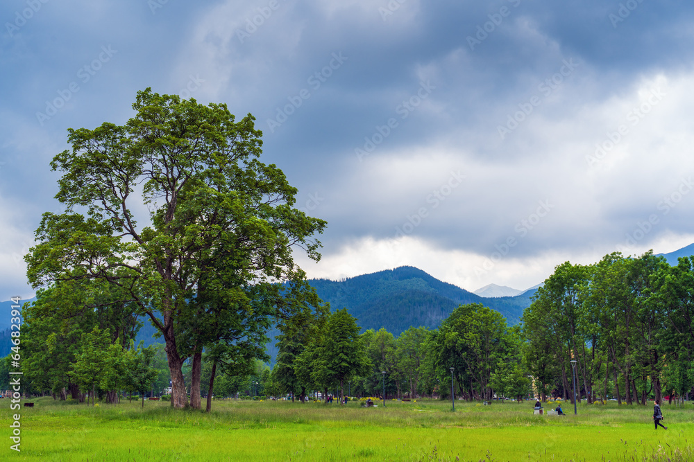 Obraz premium Landscape photograph of a green park in Zakopane, Poland, with a large tree in the foreground and mountains in the background. The sky is cloudy, people are walking in the distance. Travel concept