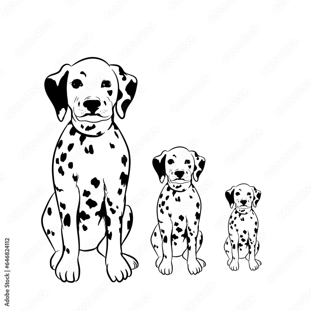 Vector illustration of Dalmatian dog with puppies.
Vector illustration of Dalmatian dog with puppies.