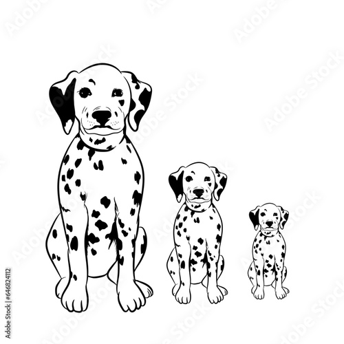 Vector illustration of Dalmatian dog with puppies.
