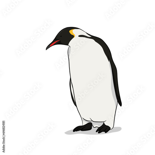 Vector illustration of front view of Penguin found in Antarctica.
