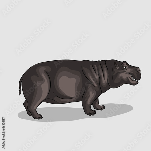 Vector illustration of African Hippopotamus wild animal.
