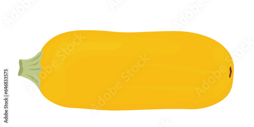 zucchini is yellow. Vector stock illustration. Isolated on a white background. A ripe vegetable.