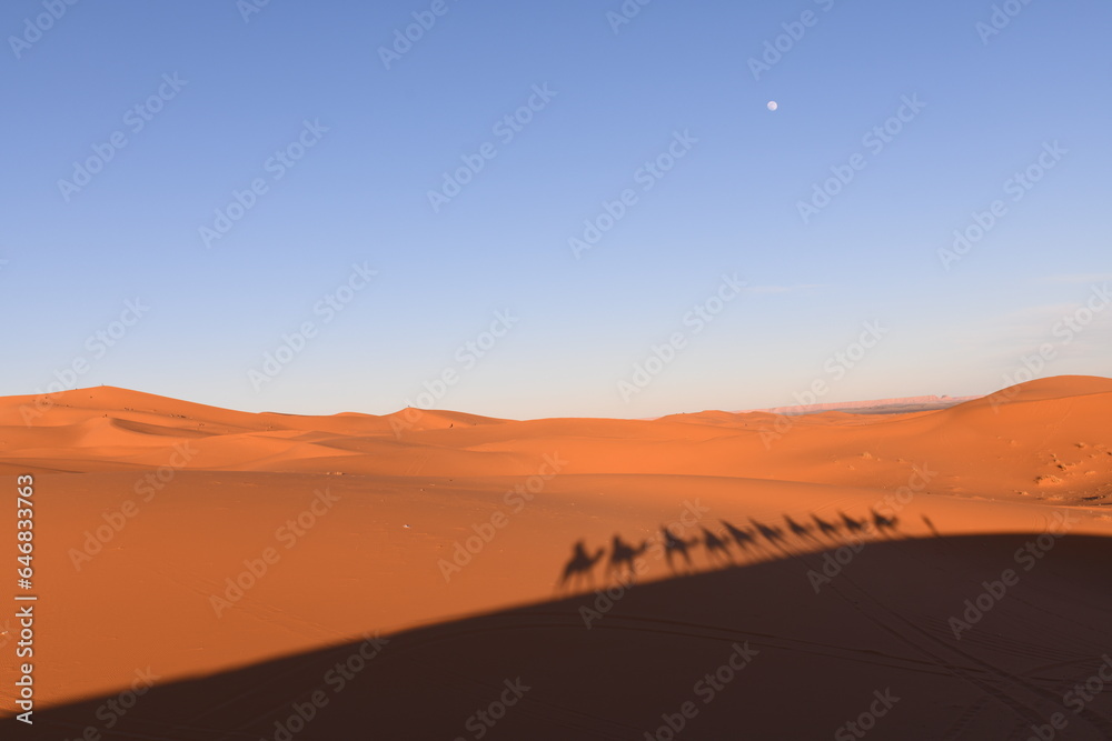 Shadows in the sand of people on a camel through the Sahara desert. Erg Chebbi Merzouga Morocco