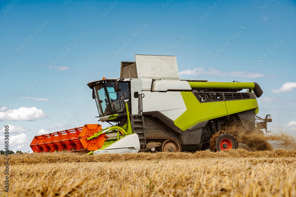 Fototapeta premium Agriculture field with heavy machinery ready to hrvest during harvesting season in the end of summer