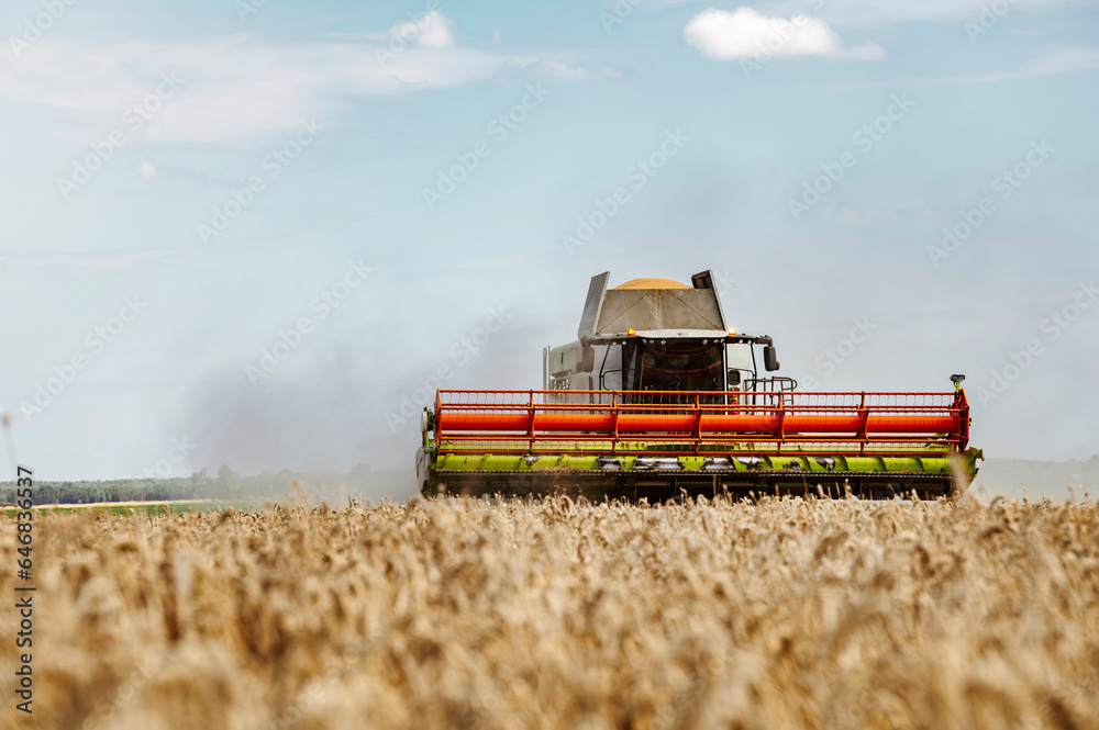 Fototapeta premium Agriculture field with heavy machinery ready to hrvest during harvesting season in the end of summer
