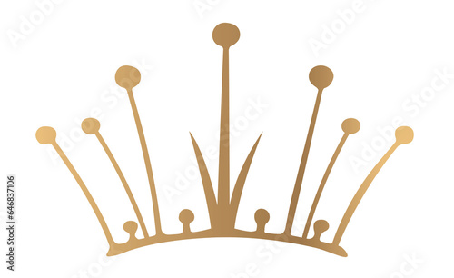 elegant gold crown