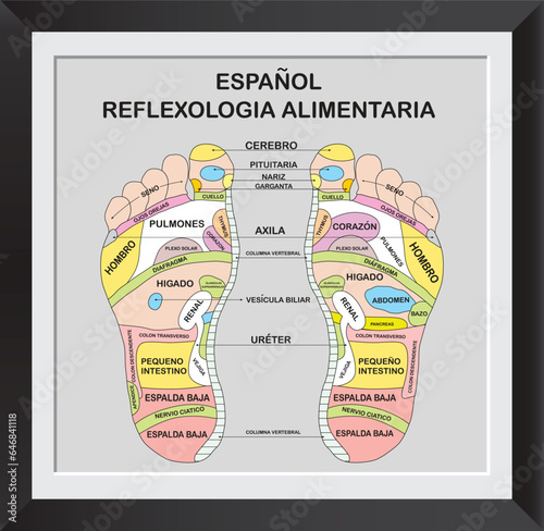 SPANISH FOOT REFLEXOLOGY PRESSURE POINT CHART