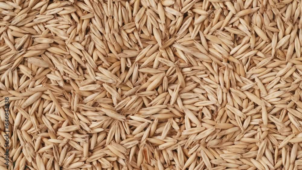 Closeup shot of wheat grains background, hand in glove puts there glass bottle with liquid. Closeup shot of wheat grains background, hand in glove puts there glass bottle with liquid.
