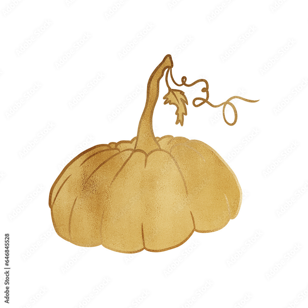 Fototapeta premium Luxurious Golden Pumpkin