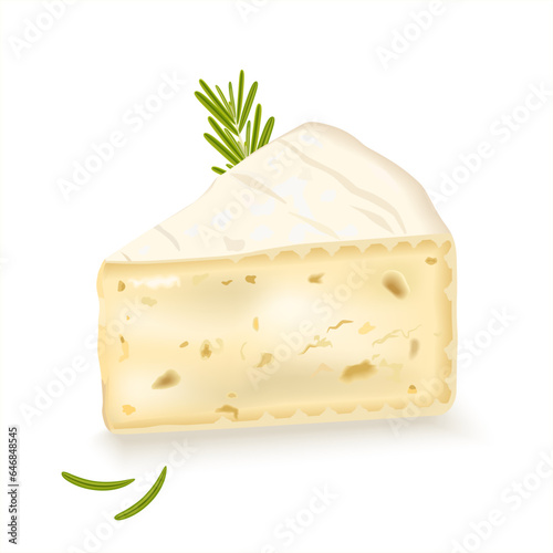 A slice of brie cheese, triangular piece soft cheese. Dairy and cheese products. Soft camembert cheese. Realistic vector illustration isolated on white background. Rosemary leaf on a piece of brie. 