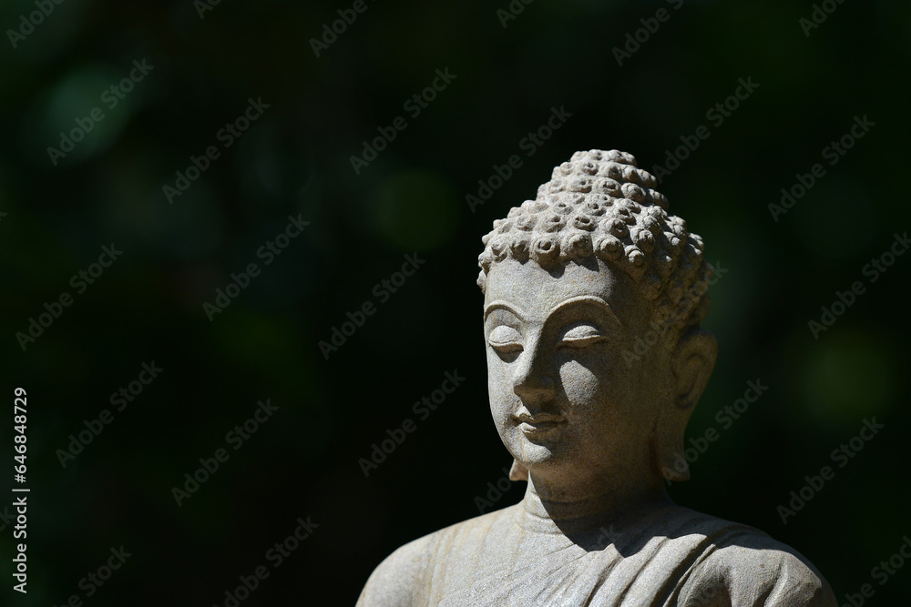 The face of the stone Buddha In the garden of a Buddhist temple