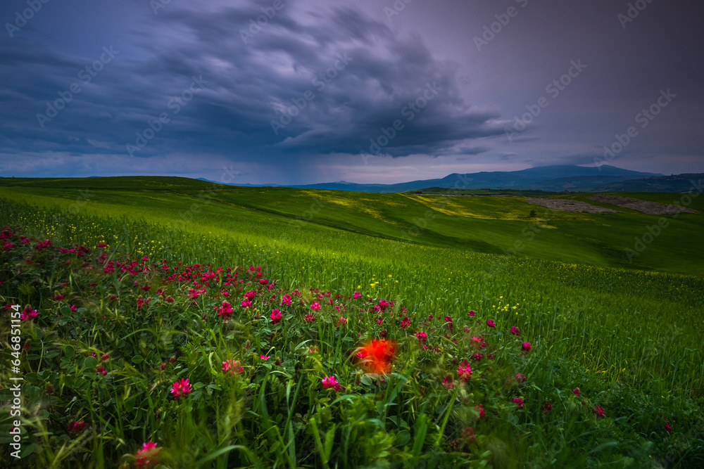 Spring landscape with pathway in the hills of Val d'Orcia