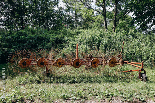 Vicon six wheel hay rake in Schwangau, Germany photo