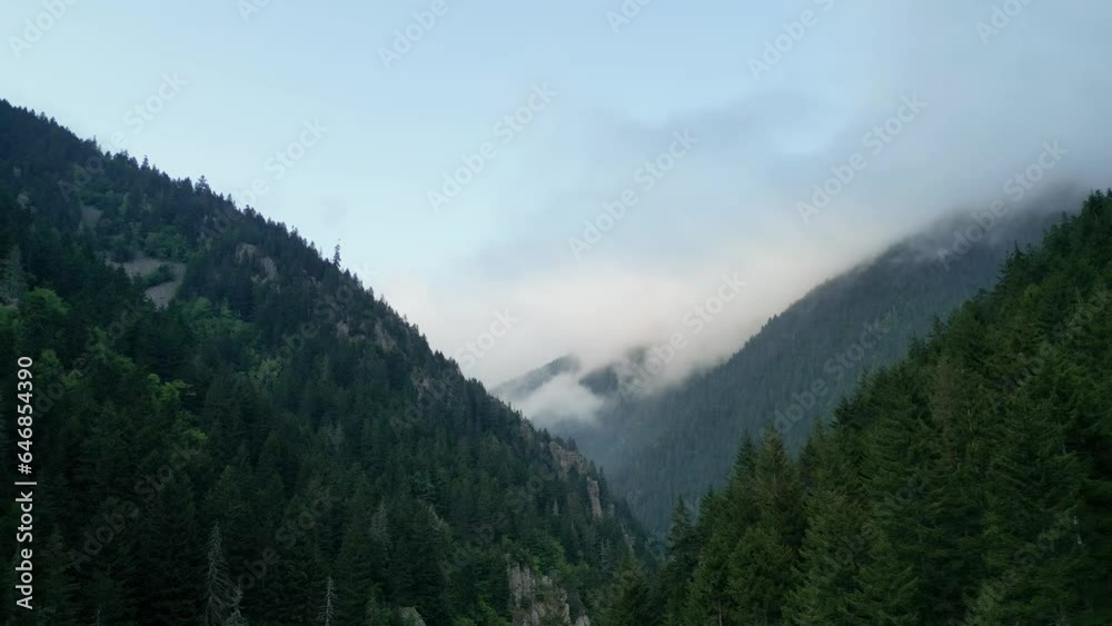 Aerial View of Misty Forests. Green Trees in the Forest with Fog and Mountains. Drone view. Shot in Rize Turkey Aerial View of Misty Forests. Green Trees in the Forest with Fog and Mountains. Drone view. Shot in Rize Turkey