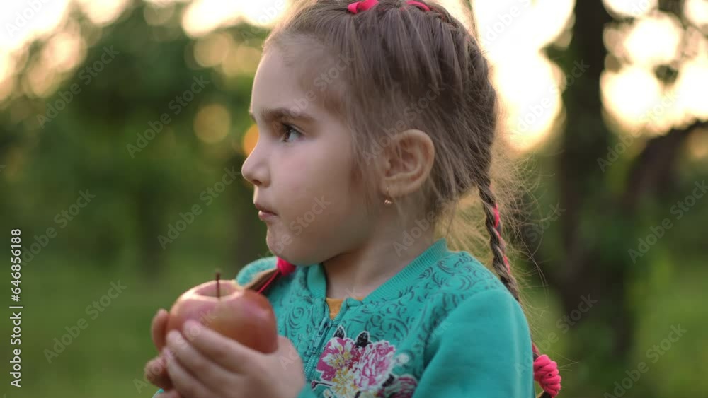 Close-up focused hungry plus-size little girl biting chewing delicious apple. Closeup portrait of Caucasian concentrated child posing eating tasty fruit standing in summer garden outdoors Close-up focused hungry plus-size little girl biting chewing delicious apple. Closeup portrait of Caucasian concentrated child posing eating tasty fruit standing in summer garden outdoors