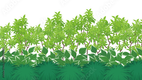 和風な植木の背景イラスト