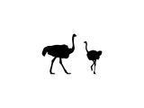 ostrich silhouette. ostrich silhouette isolated on white background. ostrich vector design and illustration.
