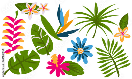 Vector set of tropical leaves. Palm  banana leaf and hibiscus flowers  plumeria  strelitzia  passionflower  heliconia on a white background. Collection for parties in an exotic style