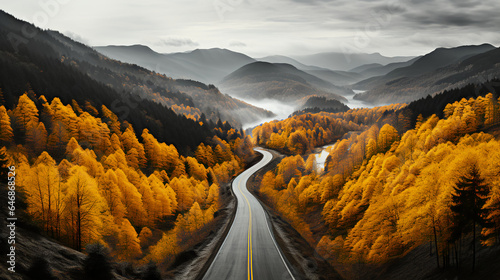 Mountain road - fall - autumn - peak leaves season - drone view - overhead shot - inspired by the mountains of western North Carolina  photo