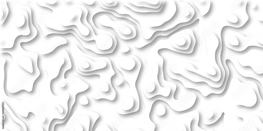 paper cut 3d render topography abstract ,beautiful white color palette colors, waves and layers, flat fiber structures, holes, macro texture digital art Pattern with lines and dots The stylized height - obrazy, fototapety, plakaty 
