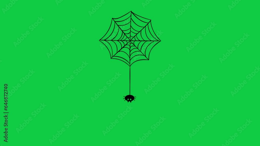 Halloween spider and net silhouette 4k loop animation on green screen ...