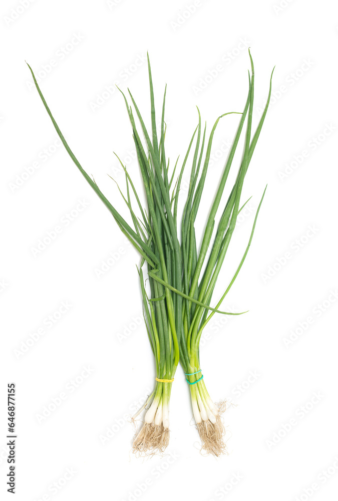 two bunches of green onions on a white background two bunches of green onions on a white background