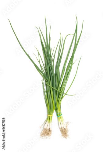 two bunches of green onions on a white background