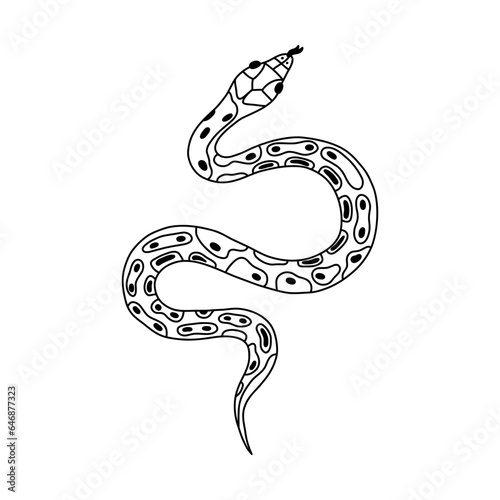 Hand drawn snake doodle with outline. Tropical or Wild West poison viper in the top view. Green dangerous serpent isolated. Vector wildlife concept. Jungle or zoo snake slithering with tongue out.