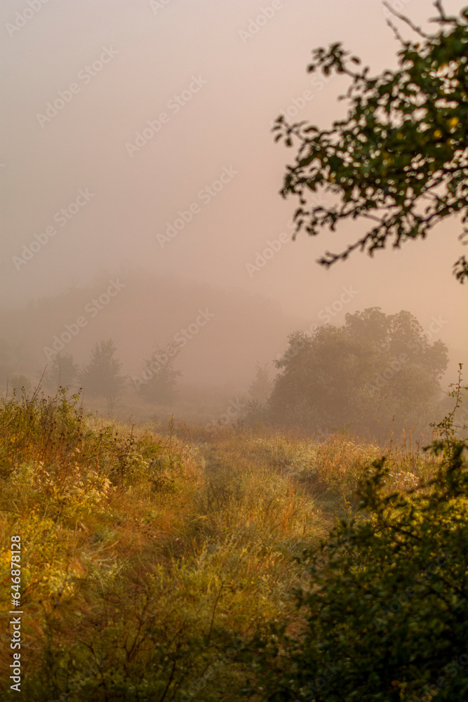 a dirt road to a field leading into the distance, during thick morning fog, illuminated by the rays of the sun a dirt road to a field leading into the distance, during thick morning fog, illuminated by the rays of the sun