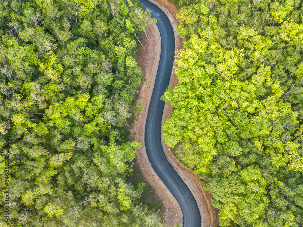 Top view the road winds through the forest. Top view the road winds through the forest.