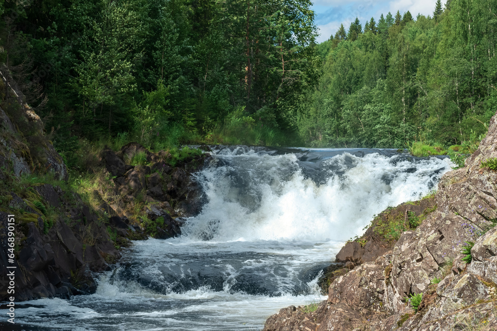 Obraz premium natural landscape with a clear waterfall on a forest river