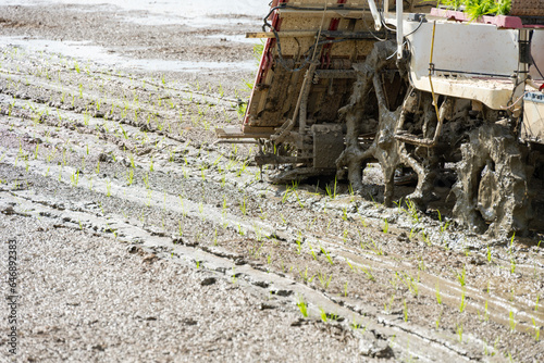 rice transplanter working on the field at horizontal composition photo