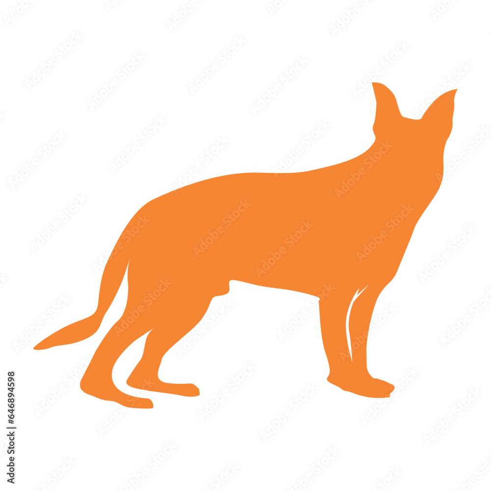 Fototapeta premium fox vector