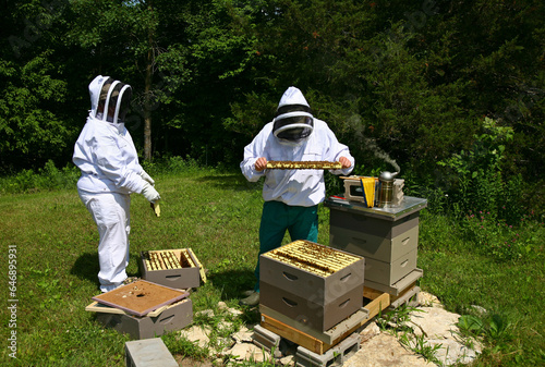 Beekeeping