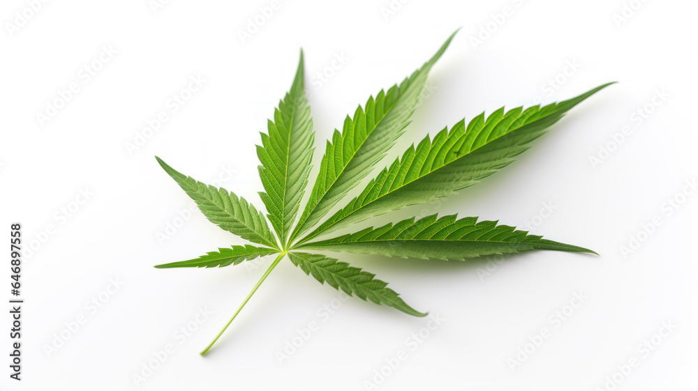 Minimalist Cannabis Leaf on White Background Minimalist Cannabis Leaf on White Background