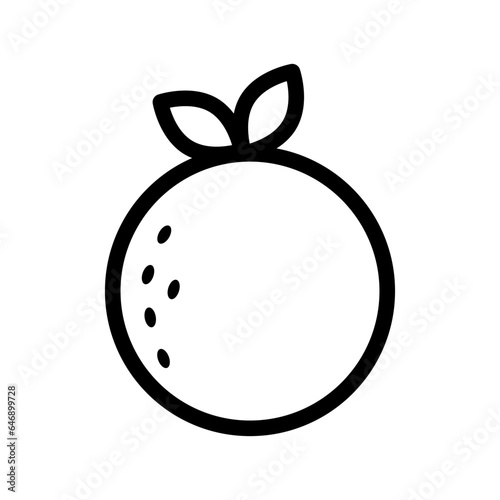 Orange icon vector, linear style orange icon, orange vector icon trendy outline style isolated on white background.