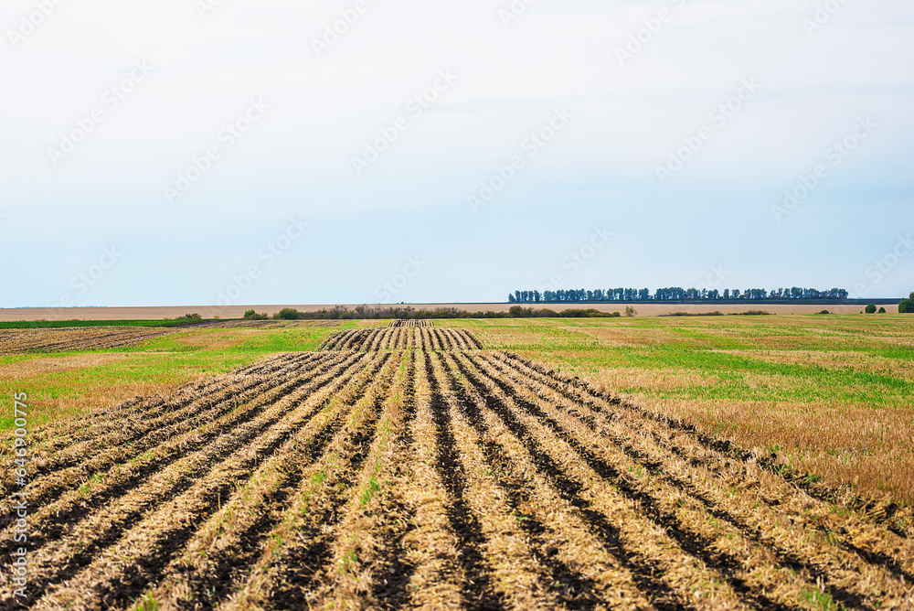 Advance technology in the agriculture; Preparation of soil for seedling in autumn