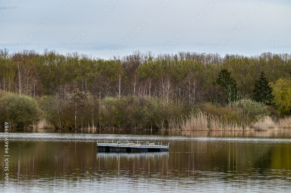 Fototapeta premium See mit Plattform im Frühling