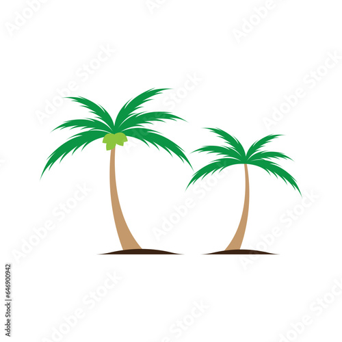 Coconut tree  Cocos nucifera   Set of realistic vector illustrations on white background.