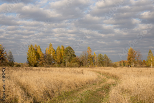 Autumn landscape, spacious fields with dense and bright grass