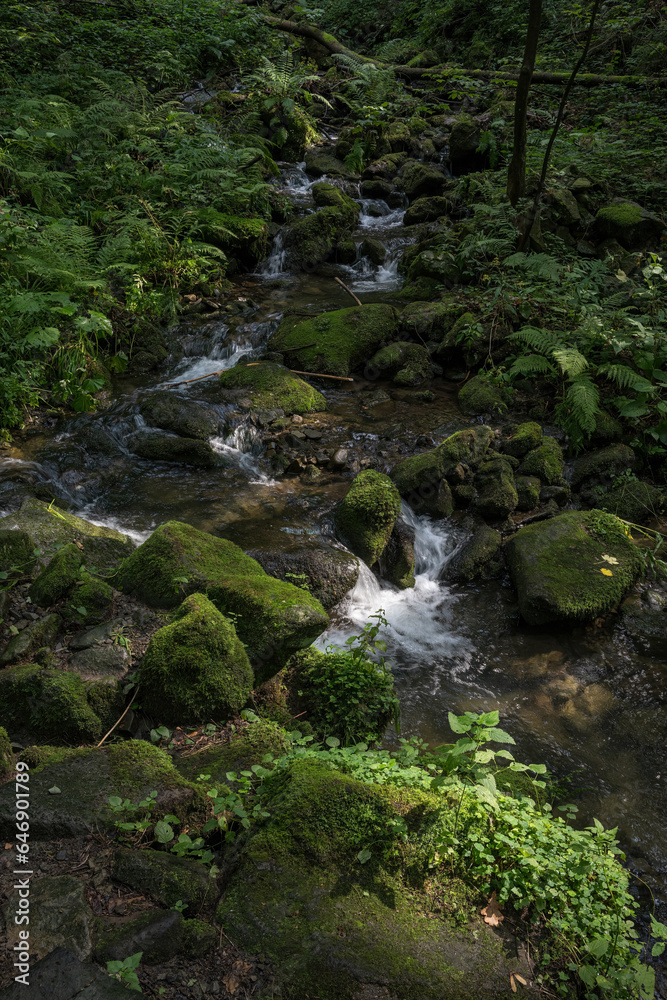 Water flowing between stones with moss in the forest. Water flowing between stones with moss in the forest.