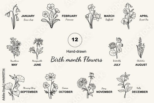 Set of 12 Birth Flowers, Vector Handdrawn, Spring Summer Fall Winter Birth Month Flowers