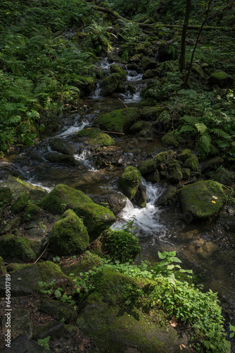 Water flowing between stones with moss in the forest.