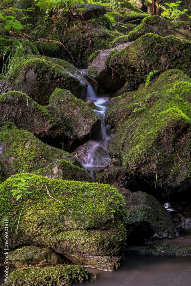Water flowing between stones with moss in the forest. Water flowing between stones with moss in the forest.