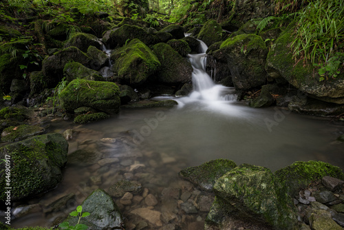 Water flowing between stones with moss in the forest.