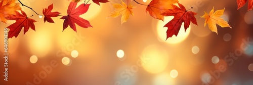 Tree branch with autumn leaves on a blurred background.Fall  autumn  leaves background.banner.copy space