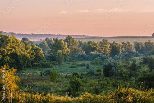 A morning landscape of misty fields and hills with green trees and bushes during the golden hour.