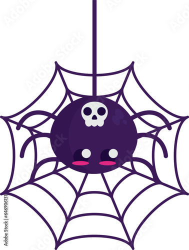 Cute black spider on web